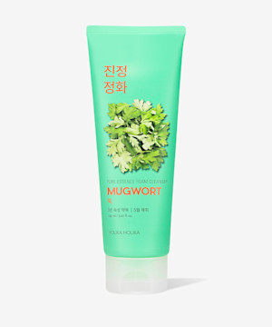 Pure Essence Mugwort Foam Cleanser